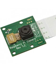 Raspberry Pi Camera Module