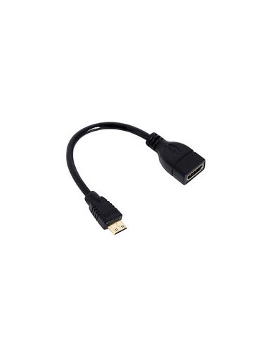 Mini HDMI Male to HDMI Female