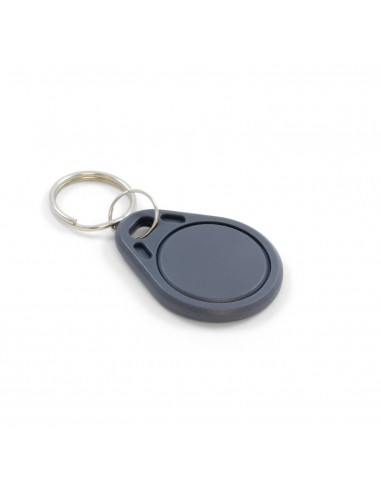 RFID 125kHz Keychain Tag