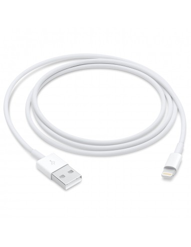 Lightning Data Cable - 1 meter