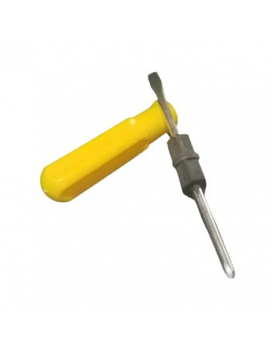 Reversable Screwdriver